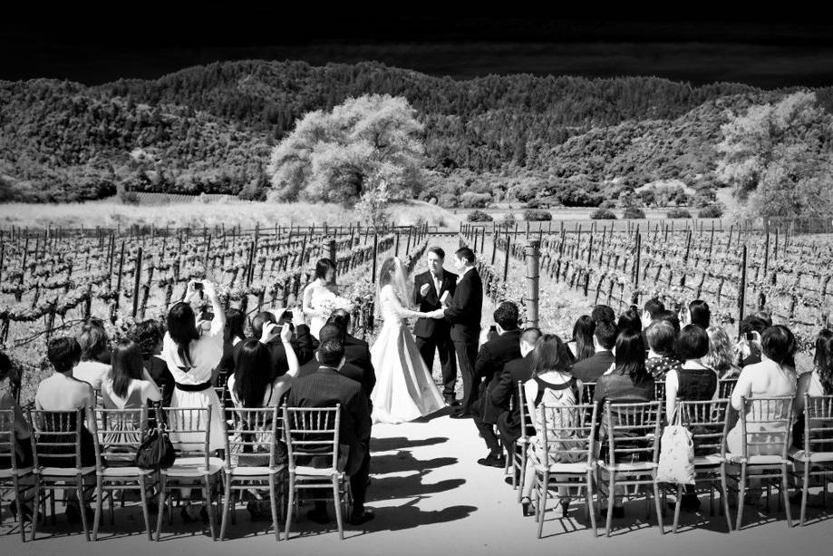 Napa Valley Custom Events