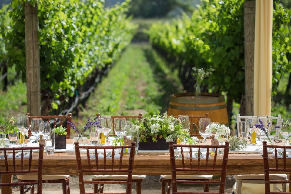 Napa Valley Custom Events