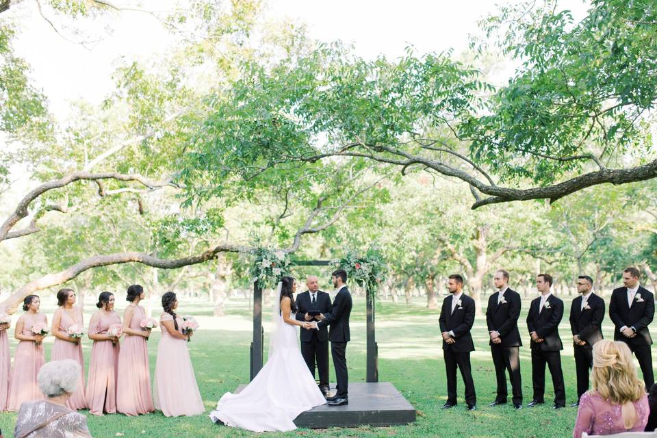 Ceremony Chairs