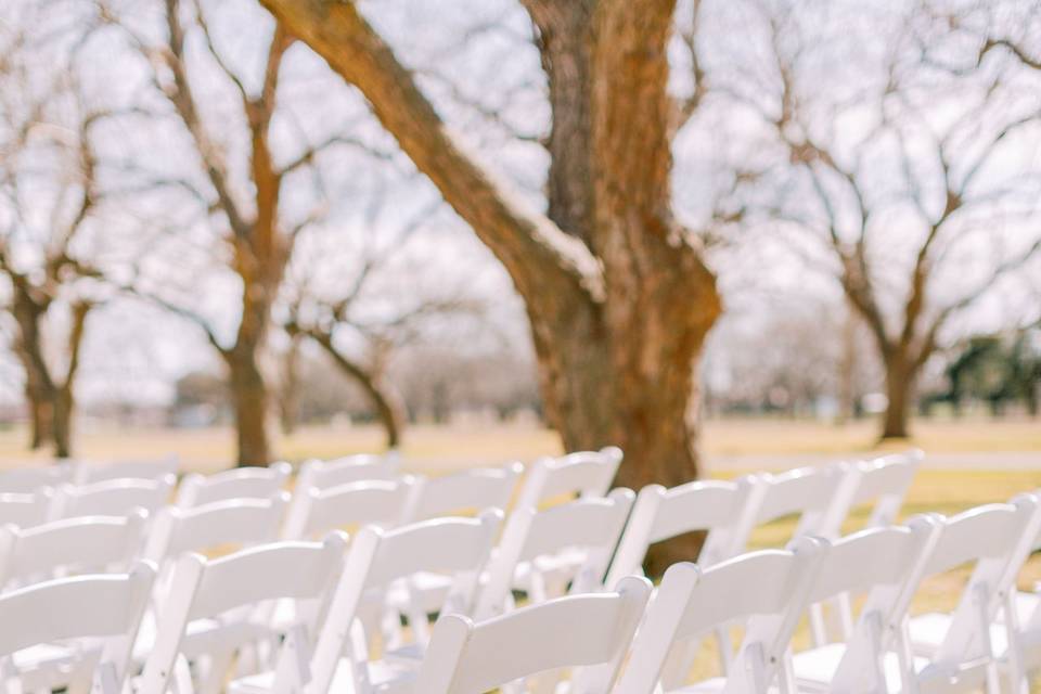 Extravagant Guest Table