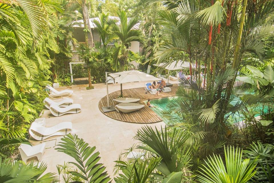 Jungle Pool & Rooms
