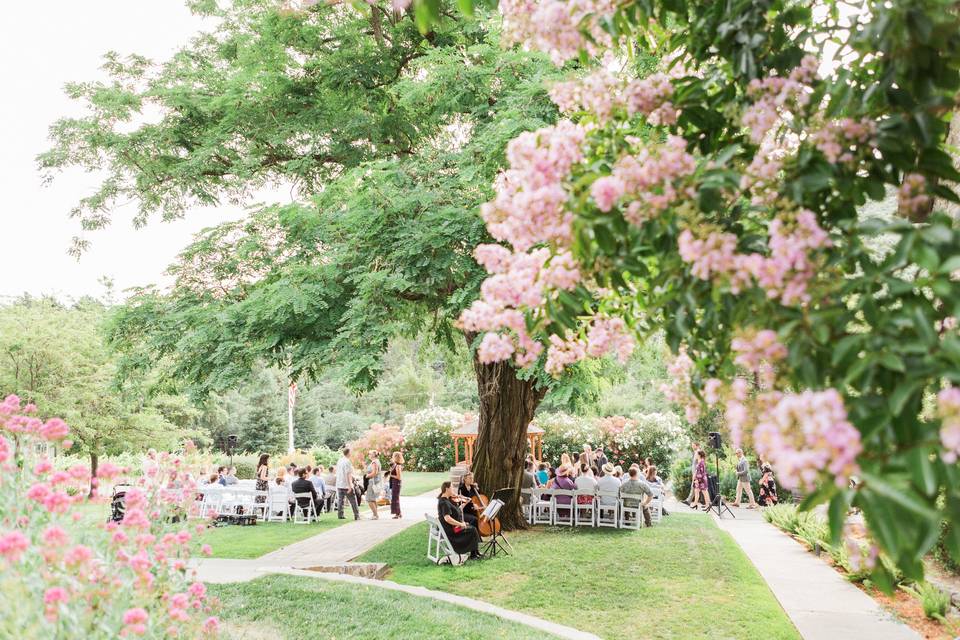 Beautiful garden