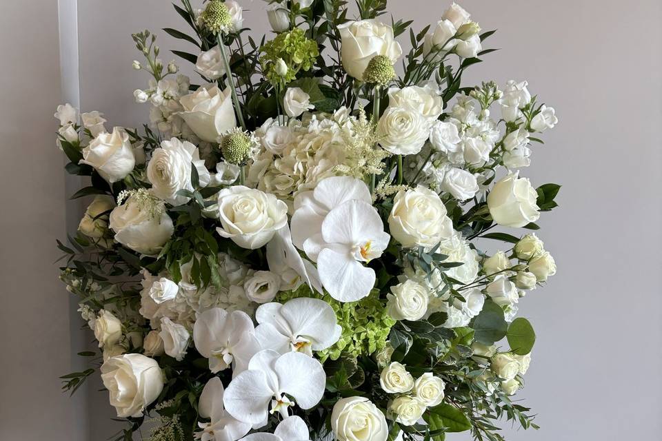 White Peacock Flowers & Design