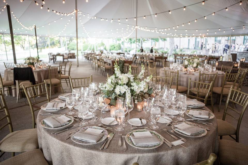 Table setup with centerpiece