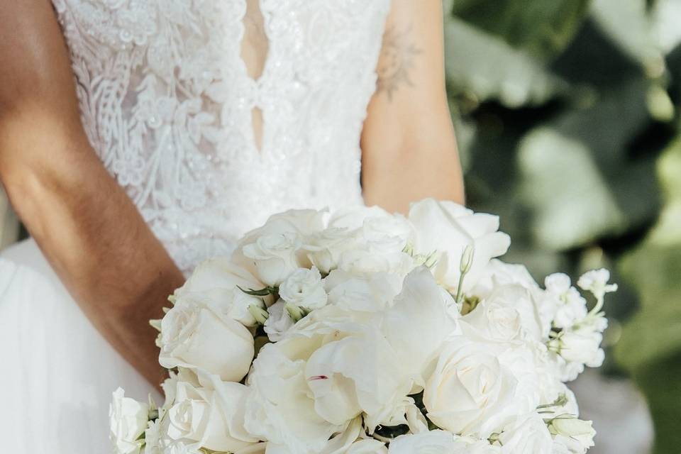 Bridal Bouquet Anemone