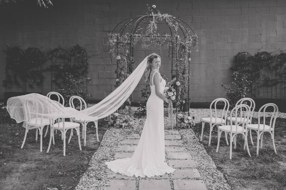 Abigail Marie Events