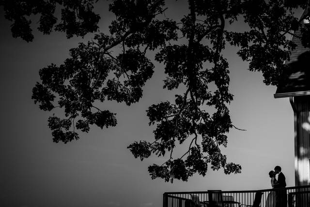 Tim Fitch Photography