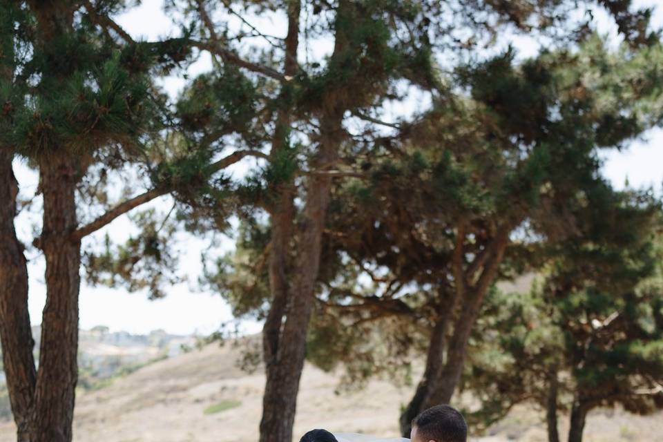 S + J Wedding