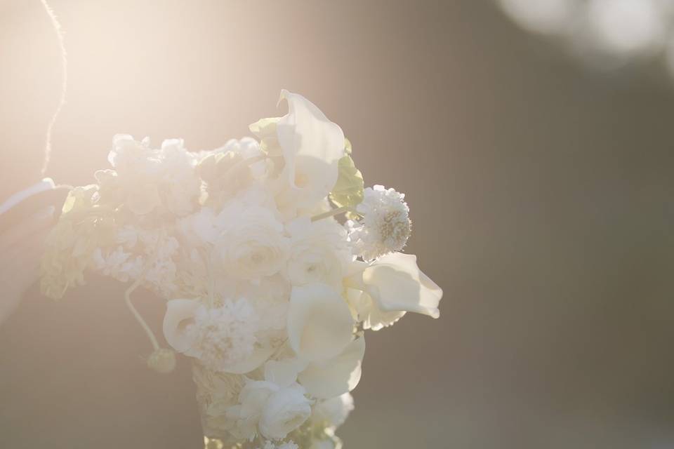 S + J Wedding