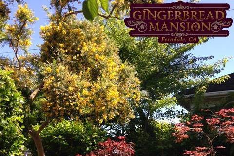 Gingerbread Mansion Inn
