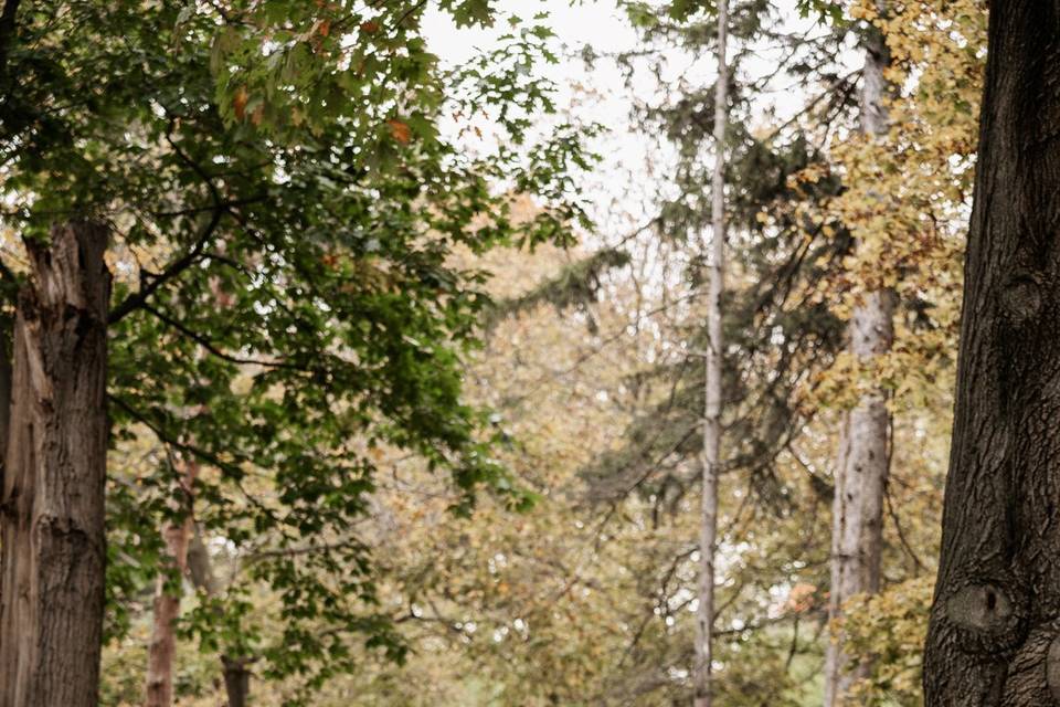 Hillcrest Outdoors