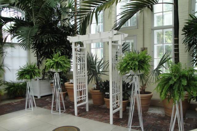 The Piper Palm House