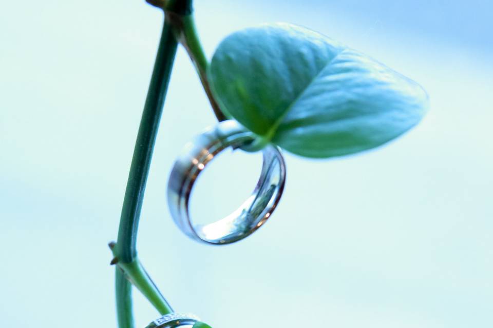 Ayano Hisa Photography