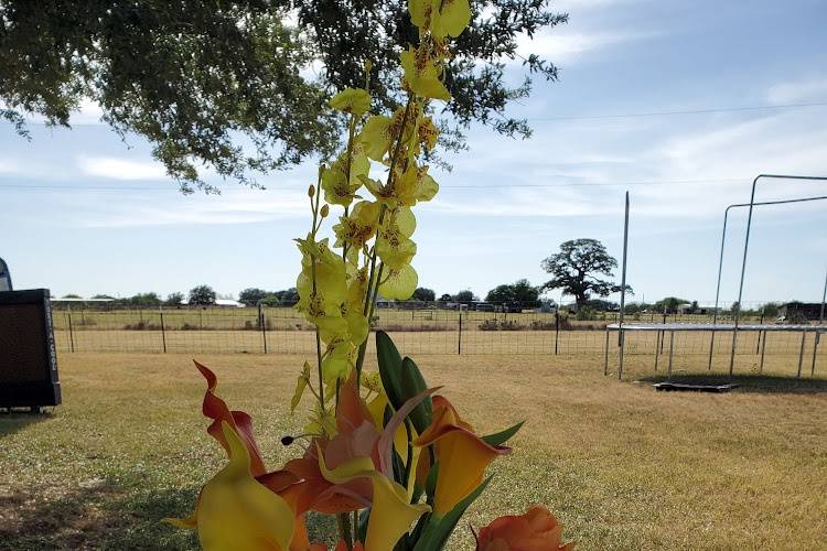 Kimberly & Solomon, Atkins, TX