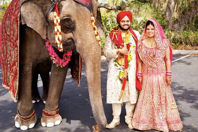 Wedding couple