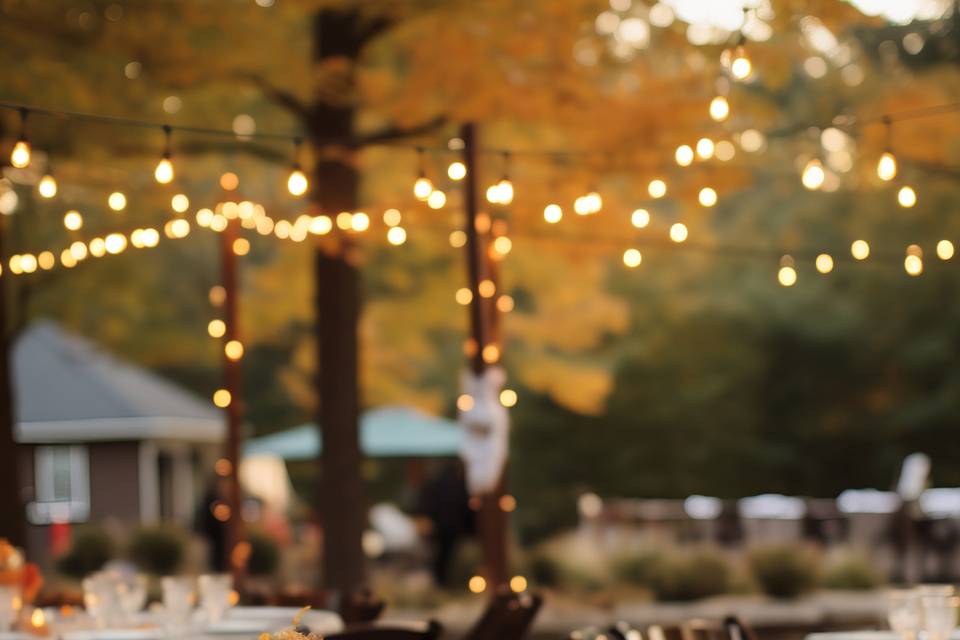 Backyard Wedding