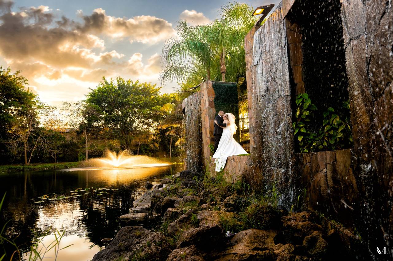 Living Sculpture Sanctuary - Barn & Farm Weddings - Fort Lauderdale, FL ...