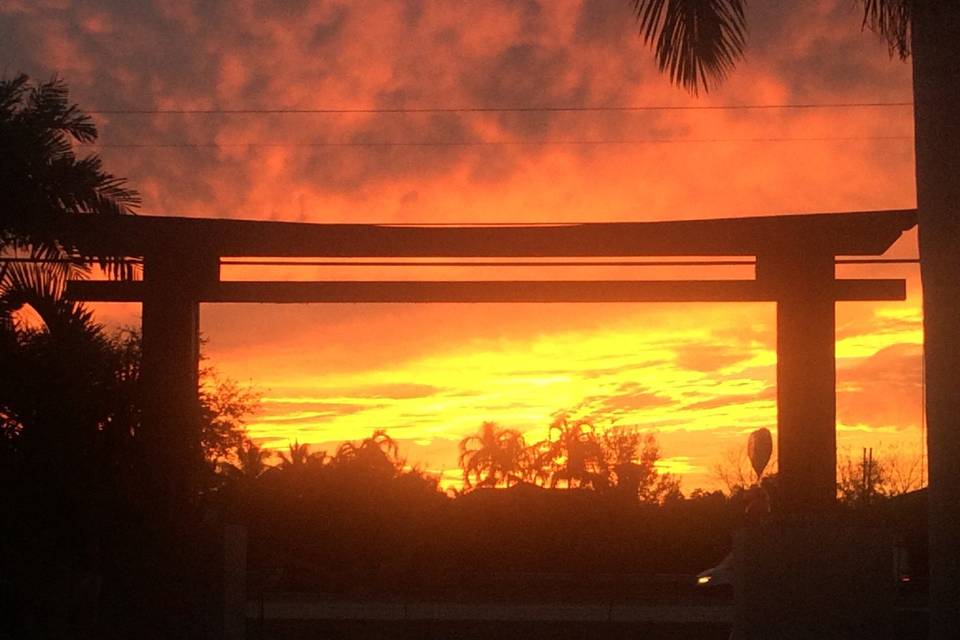 Torii gate sunset