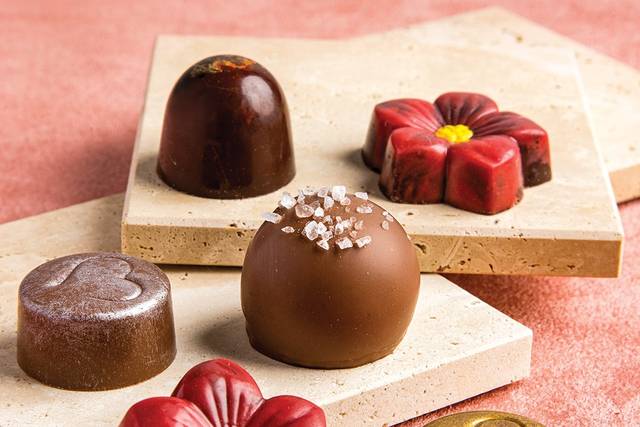 Painted Turtle Chocolatier