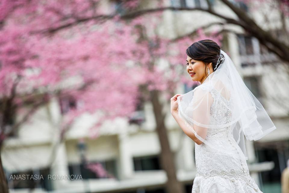 Beautiful Brides Hair and Makeup