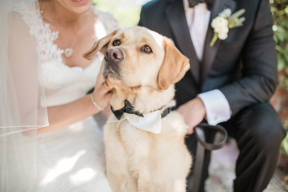 The couple with their dog