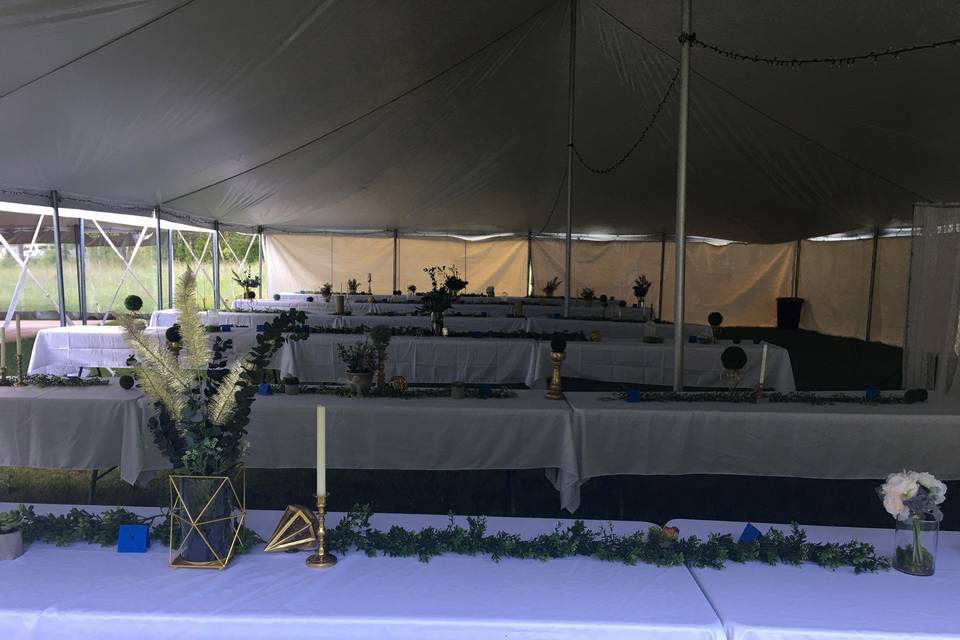 D&S Party Tent Rentals