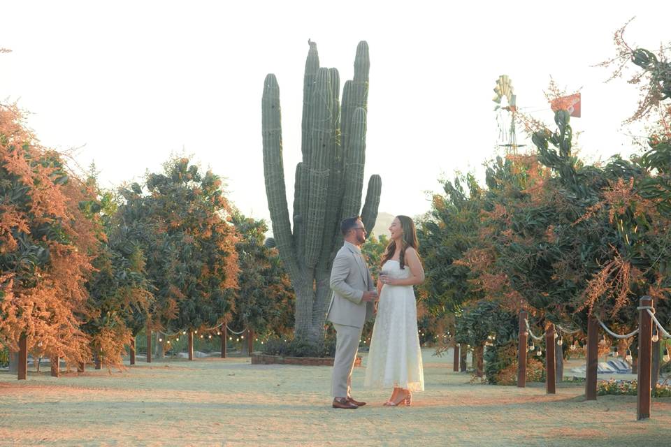 Elegant wedding ceremony