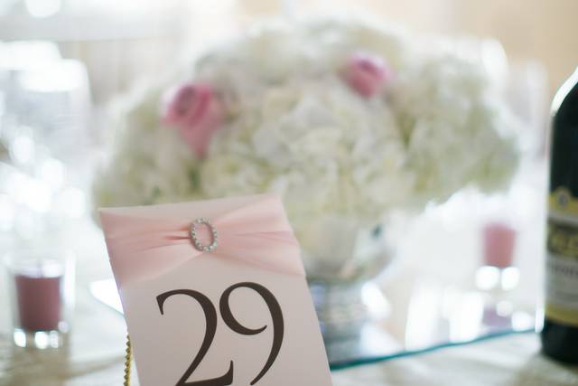 Carissa Civitello Events