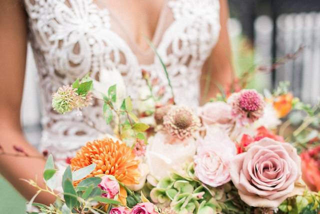 Taylor Falcon Events