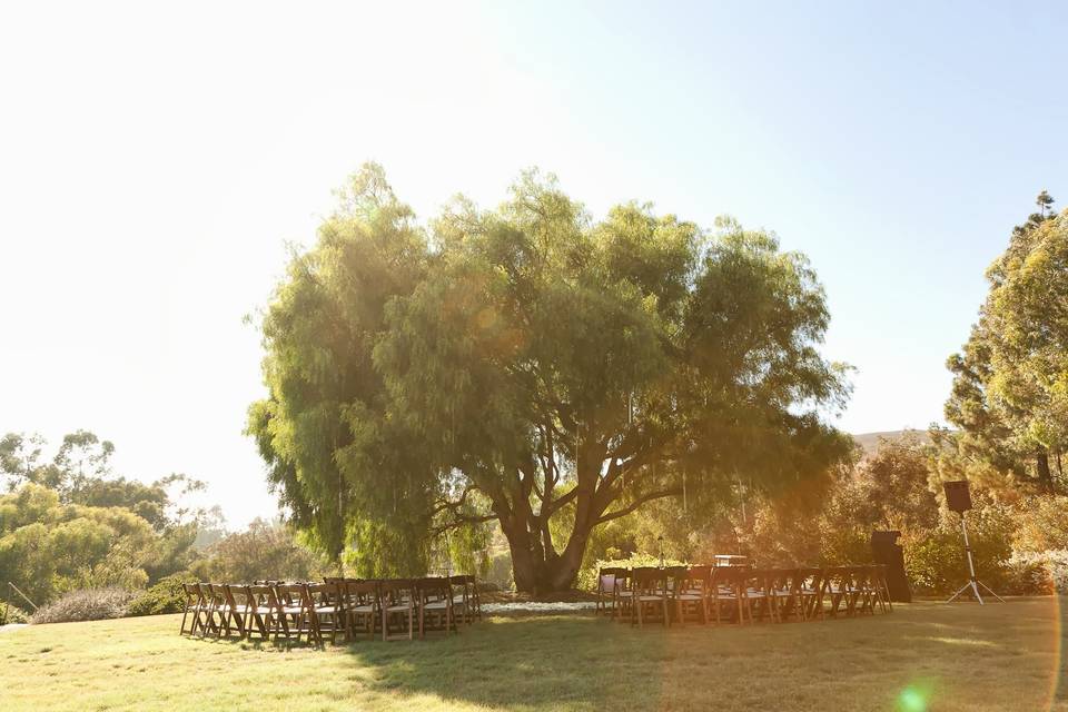 An amazing day with Krystal, Steve, and puppy Bear at a stunning Vineyard in Malibu, California!