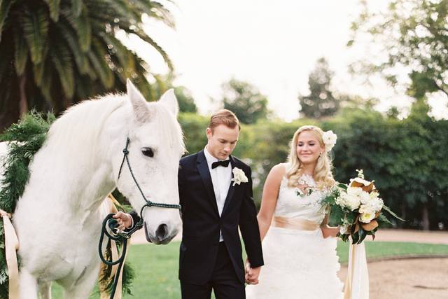 Couple with horse