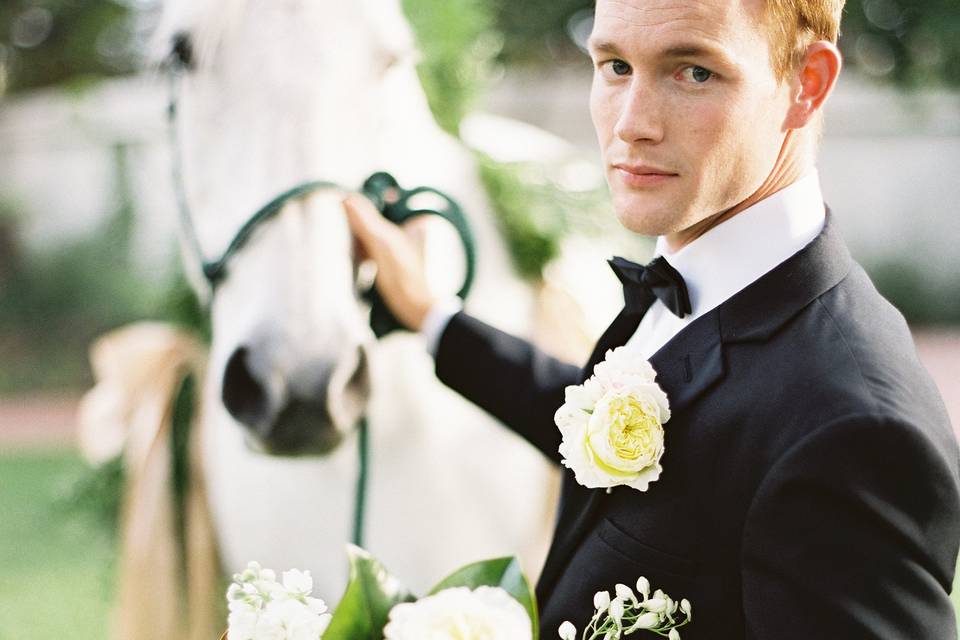 Groom and horse