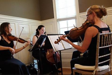 Felicity String Quartet