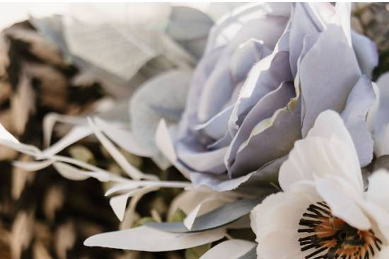 Madeline Hopkins Photography