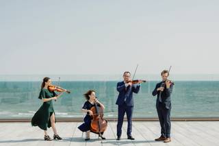 Cape Cod String Quartet - Dan Flonta
