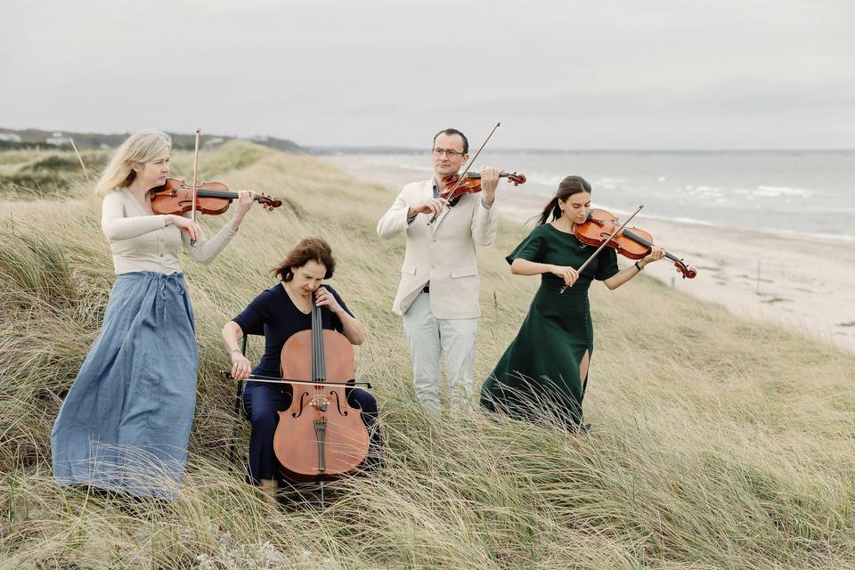 Cape Cod String Quartet - Dan Flonta
