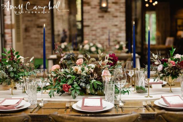 Amy Campbell Photography