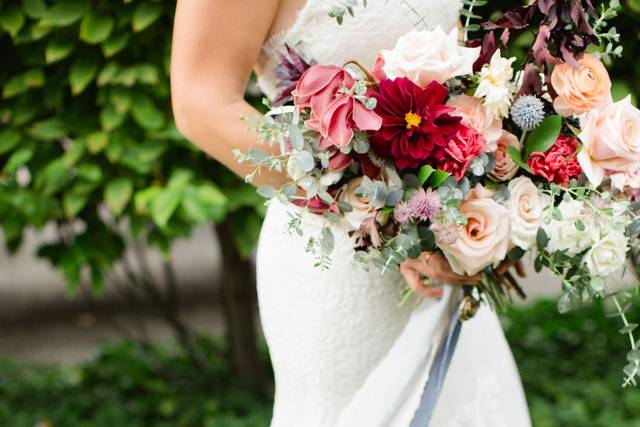 Amy Campbell Photography