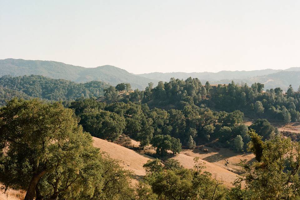 Raso Robles Winery Wedding