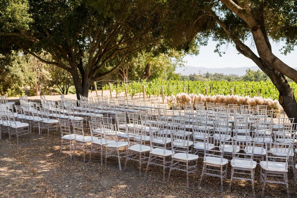 Santa Ynez Vineyard Wedding