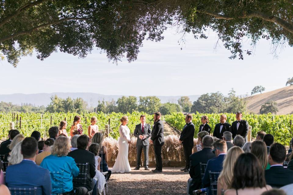 Santa Ynez Vineyard Wedding