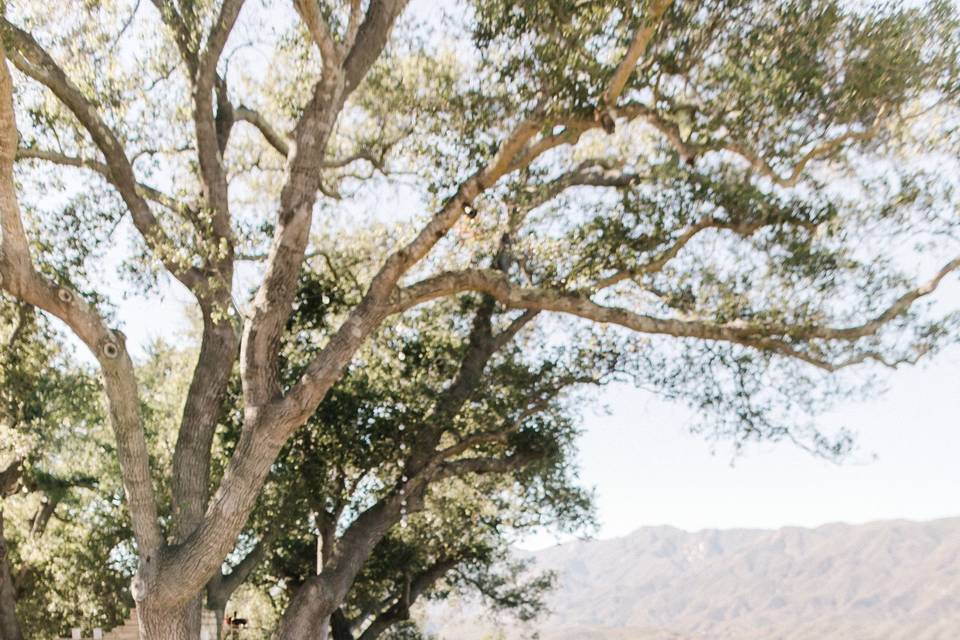 Ojai Retreat Wedding