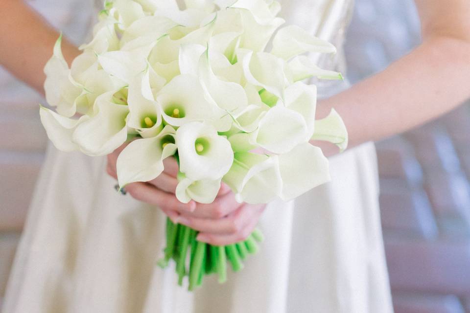 SB Historical Museum Wedding