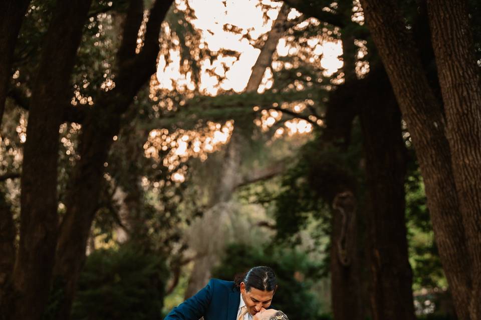E&O in August Aiken Elopement
