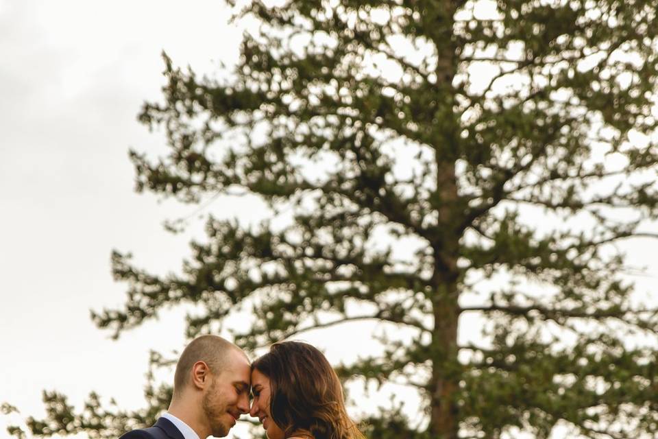 Beaver Creek Wedding