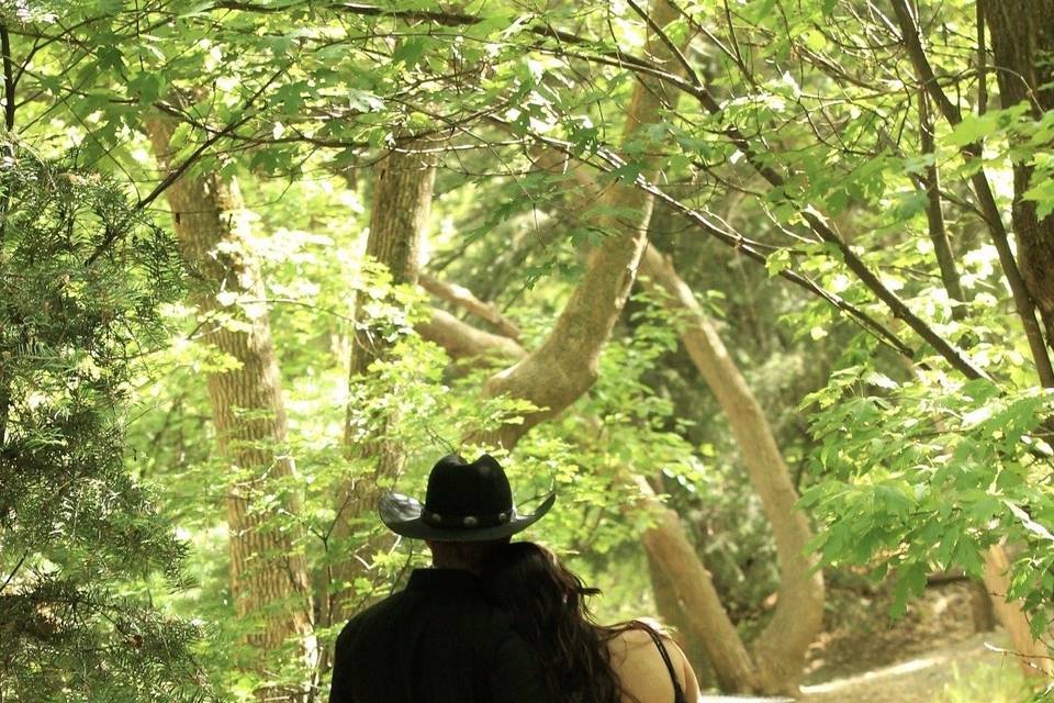 Walk in summer