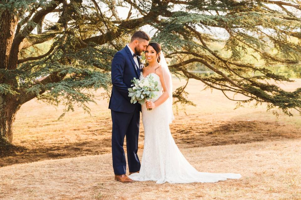 Shaina Parks Photography