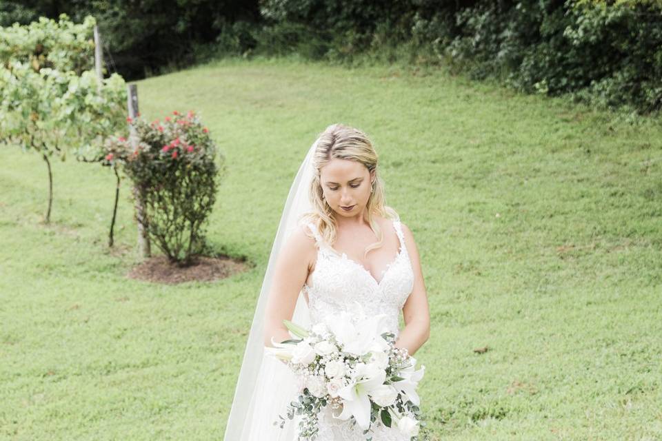 Shaina Parks Photography
