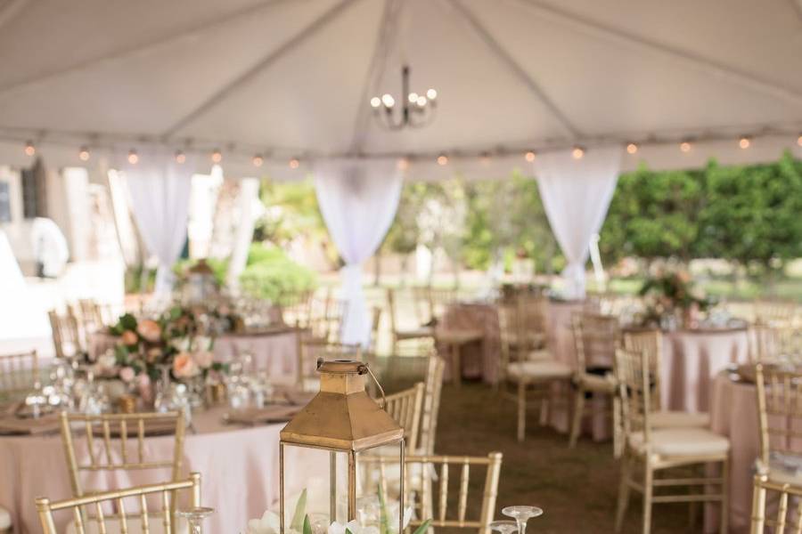 Golden Tent Reception Set Up