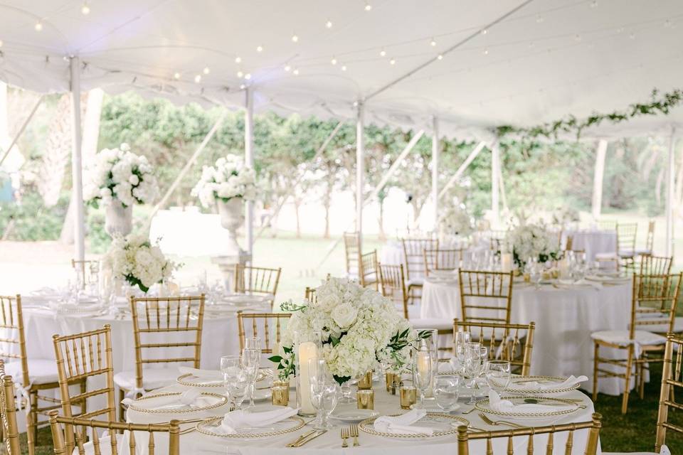 White/Gold Tent Wedding